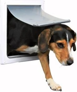 Trixie 2-Weg Hondenluik Wit - XS-S 25 X 29 CM 13 Trixie 2-Weg Hondenluik Wit - XS-S 25 X 29 CM -Honden Benodigdheden Verkoop 1000x1200 1