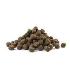 VERSELE-LAGA Opti Life Adult Skin Care Medium & Maxi - 12,5 Kg 15 VERSELE-LAGA Opti Life Adult Skin Care Medium & Maxi - 12,5 Kg -Honden Benodigdheden Verkoop 1002x1200