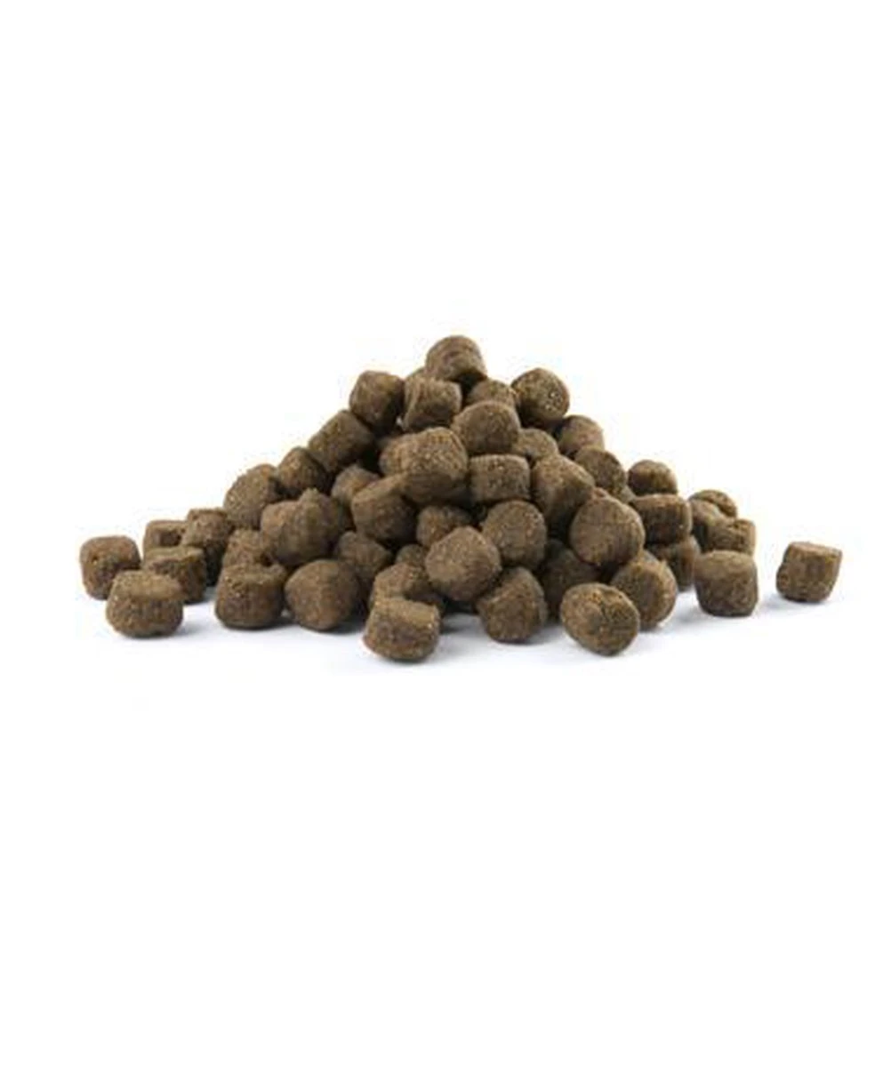 VERSELE-LAGA Opti Life Adult Skin Care Medium & Maxi - 12,5 Kg 9 VERSELE-LAGA Opti Life Adult Skin Care Medium & Maxi - 12,5 Kg - Afbeelding 7