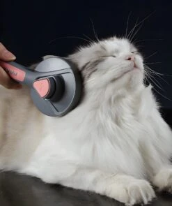 Pakeway T9 - Kattenborstel - Zelfreinigende Kattenkam - Roze - Massageborstel - 19,3 Cm -Honden Benodigdheden Verkoop 1005x1200