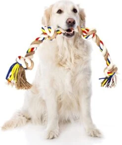 Nobleza Hondentouw - Speeltouw Hond - Flostouw Hond - Trektouw Hond - Lang - Geknoopt -Honden Benodigdheden Verkoop 1008x1200 4
