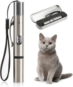 Merkloos Laserpen - USB Oplaadbaar - Kattenspeeltjes - Verschillende Standen - Zilver - Houder 7 Merkloos Laserpen - USB Oplaadbaar - Kattenspeeltjes - Verschillende Standen - Zilver - Houder -Honden Benodigdheden Verkoop 1009x1200 1