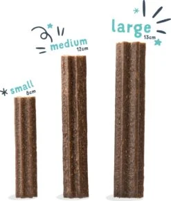 Edgard & Cooper Doggy Dental Sticks Appel - Eucalyptusolie Medium 21 Edgard & Cooper Doggy Dental Sticks Appel - Eucalyptusolie Medium -Honden Benodigdheden Verkoop 1023x1200