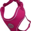 DDOXX Hondenharnas, Reflecterend, Verstelbaar, Breakaway | Borstharnas Voor Klein, Middelgroot | Hondenharnas Hond Kat Puppy Auto | Kattenharnas Puppy Harnas | Roze Roze, S -Honden Benodigdheden Verkoop 1032x1200 2