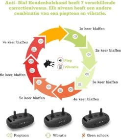 Doggie™ Anti Blafband - Diervriendelijk - GEEN Schok - Anti Blafband - Hondenhalsband 11 Doggie™ Anti Blafband - Diervriendelijk - GEEN Schok - Anti Blafband - Hondenhalsband -Honden Benodigdheden Verkoop 1048x1200
