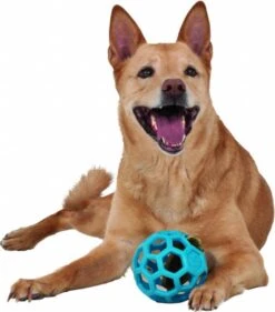 JW HOL-EE ROLLER – Hondenbal Rubber – 15 Cm - Large - 1 Stuk -Honden Benodigdheden Verkoop 1053x1200 5