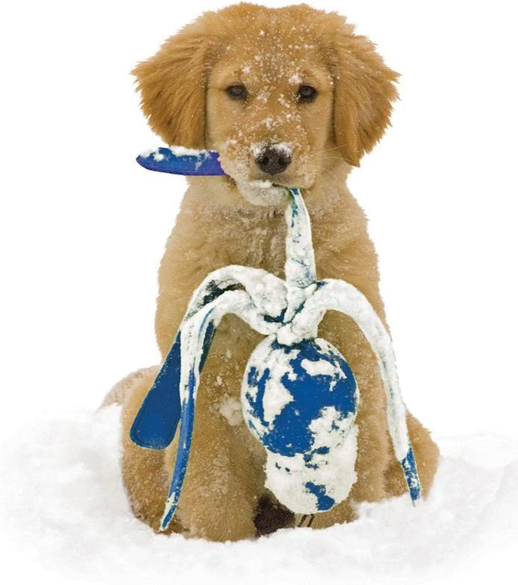 Kong Wubba - Hondenspeelgoed - Assorti - L: 36 Cm 4 Kong Wubba - Hondenspeelgoed - Assorti - L: 36 Cm - Afbeelding 2