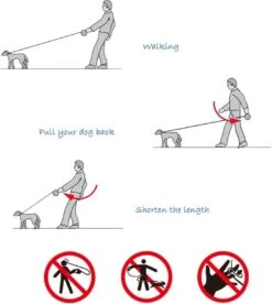 IGOODS - Uitlaatriem - Honden Riem - Katten Riem - Uitlaatriem Voor Dieren Rollijn - Hondenriem - 5 Meter Lang - Grijs -Honden Benodigdheden Verkoop 1072x1200 2