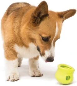 West Paw Toppl Zogoflex - Uitdagend En Sterk Speelgoed Voor Honden - Slowfeeder - Vulbaar Met Voer Of Snacks - Kleur: Groen, Maat: Large -Honden Benodigdheden Verkoop 1074x1200 3