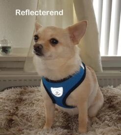 Luxyana Pets Hondentuig - M - 32-55cm - Harnas Voor Hond Of Grote Kat - Easy Step-in Hondenharnas - Inclusief Bijpassend Riempje - Zwart -Honden Benodigdheden Verkoop 1076x1200 5