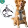 Mmoods Hondentuigje Grijs - Anti-Trek Tuig - Hondenharnas Voor Grote Honden- Reflecterende Halsband Hond - Hondenhalsband Maat L -Honden Benodigdheden Verkoop 1101x1200 5