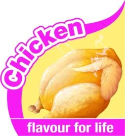 Nylabone Big Chew Kauwbot - Kipsmaak - Hond Zwaarder Dan 23 Kg -Honden Benodigdheden Verkoop 1102x1200 4