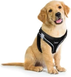 Topmast Airmesh Hondentuig - Click & Go - Turquoise - 3XS - Reflecterend - Harnas Hond - Hondentuigje - Hondenharnas - Voor Puppy, Kleine, Medium En Grote Hond -Honden Benodigdheden Verkoop 1104x1200 3