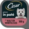 Cesar Primeur Paté Honden Natvoer - Kalf & Worteltjes - 10 X 300 Gr 2 Cesar Primeur Paté Honden Natvoer - Kalf & Worteltjes - 10 X 300 Gr -Honden Benodigdheden Verkoop 1107x1200