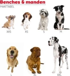 Adori Vetbed Basic - Dierendeken - Grijs - 122 X 75 Cm -Honden Benodigdheden Verkoop 1115x1200 5