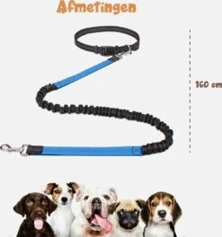 Hardloopriem Hond – Honden Riem Handsfree – Hardlopen Met Hond – 160-260 Cm Blauw - Hardloopband Hond – Halsband Hond – Hondenlijn – Leiband Hond -Honden Benodigdheden Verkoop 1124x1200 2