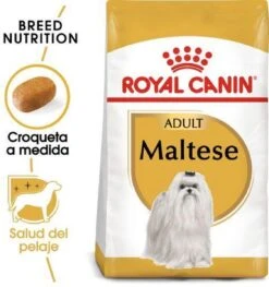 Royal Canin Maltese Adult 1.5 KG -Honden Benodigdheden Verkoop 1125x1200 2