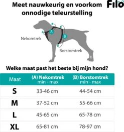 Filo Anti Trek Hondentuig S Met Hondenriem - Y Tuig Hond Verstelbaar - Hondentuigje Kleine Hond + Hondenlijn - Easy Walk Hondenharnas - Hondentuigjes - Leiband - Honden Tuigje - Puppy - Tuig - Hond -Honden Benodigdheden Verkoop 1128x1200 9