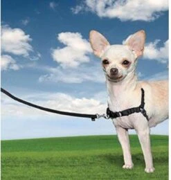 PetSafe Easy Walk® - Hondentuigje - Zwart - L - 66-91 Cm -Honden Benodigdheden Verkoop 1138x1200 4