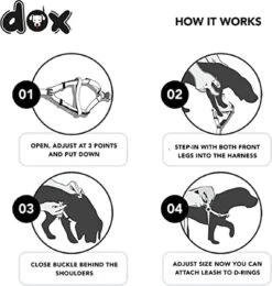 DDOXX Hondenharnas Nylon, Step-In, Verstelbaar, Uitbraakbestendig | Voor Kleine, Middelgrote & Grote Honden | Borstharnas Hond Kat Puppy Auto | Puppy Harnas Kat Harnas | Zwart, S -Honden Benodigdheden Verkoop 1142x1200 3