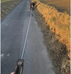 Hondenriem-Looplijn-Zwart/Grijs-8 Meter Oprol-Hond Lijn-Automatisch Rollijn -Honden Benodigdheden Verkoop 1144x1200 3