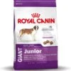 Royal Canin Giant Junior 15 KG