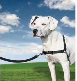 Petsafe Easy Walk® Deluxe Harness - Hondentuigje - Blauw - M - 1,8 M 22 Petsafe Easy Walk® Deluxe Harness - Hondentuigje - Blauw - M - 1,8 M -Honden Benodigdheden Verkoop 1145x1200 4