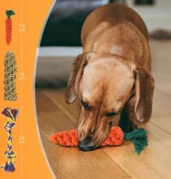 Nobleza Honden Speelgoed Set PLJ - 10 Stuks -Honden Benodigdheden Verkoop 1146x1200 9