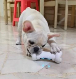 Cheerble Wickedbone|Automatisch Hondenspeeltje|Interactief En Intelligent Speelgoed Voor Honden|App & Bluetooth Bestuurbaar|USB Oplaadbaar -Honden Benodigdheden Verkoop 1147x1200 8