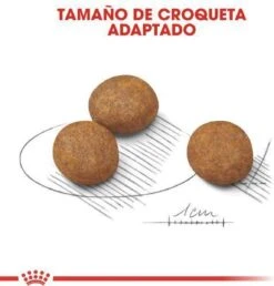 Royal Canin Maxi Puppy 4 KG -Honden Benodigdheden Verkoop 1151x1200 1