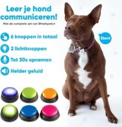 BFreshPets Praatknop Voor Honden - 6 Stuks - Dogbuttons - Hondenspeelgoed - Honden Training - Laat Uw Huisdier Spreken -Honden Benodigdheden Verkoop 1151x1200 11