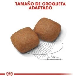 Royal Canin Giant Junior 15 KG -Honden Benodigdheden Verkoop 1151x1200