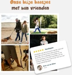 Hardloopriem Hond – Honden Riem Handsfree – Hardlopen Met Hond – 160-260 Cm Groen- Hardloopband Hond – Halsband Hond – Hondenlijn – Leiband Hond 12 Hardloopriem Hond – Honden Riem Handsfree – Hardlopen Met Hond – 160-260 Cm Groen- Hardloopband Hond – Halsband Hond – Hondenlijn – Leiband Hond -Honden Benodigdheden Verkoop 1151x1200 8