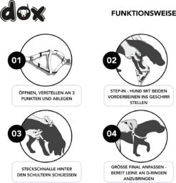 DDOXX Hondenharnas Nylon, Step-In, Verstelbaar, Uitbraakbestendig | Voor Kleine, Middelgrote & Grote Honden | Borstharnas Hond Kat Puppy Auto | Puppy Harnas Kat Harnas | Zwart, S -Honden Benodigdheden Verkoop 1155x1200 3
