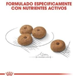 Royal Canin Ccn Sterilised Mini - Hondenvoer - 3 Kg -Honden Benodigdheden Verkoop 1158x1200 1