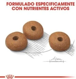 Royal Canin Mini Light 8 KG -Honden Benodigdheden Verkoop 1158x1200