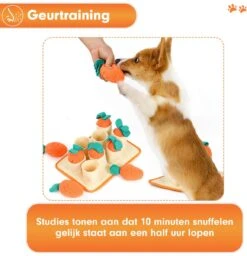 Premium Snuffelmat Voor Hond En Kat - Intelligentie Speelgoed - Snuffel Mat Puppy - IQ Hondenspeeltjes - Educatieve Training Huisdier - Snuffeltrainer Hondenpuzzel - Educatief Speelgoed - Vetalo -Honden Benodigdheden Verkoop 1158x1200 9