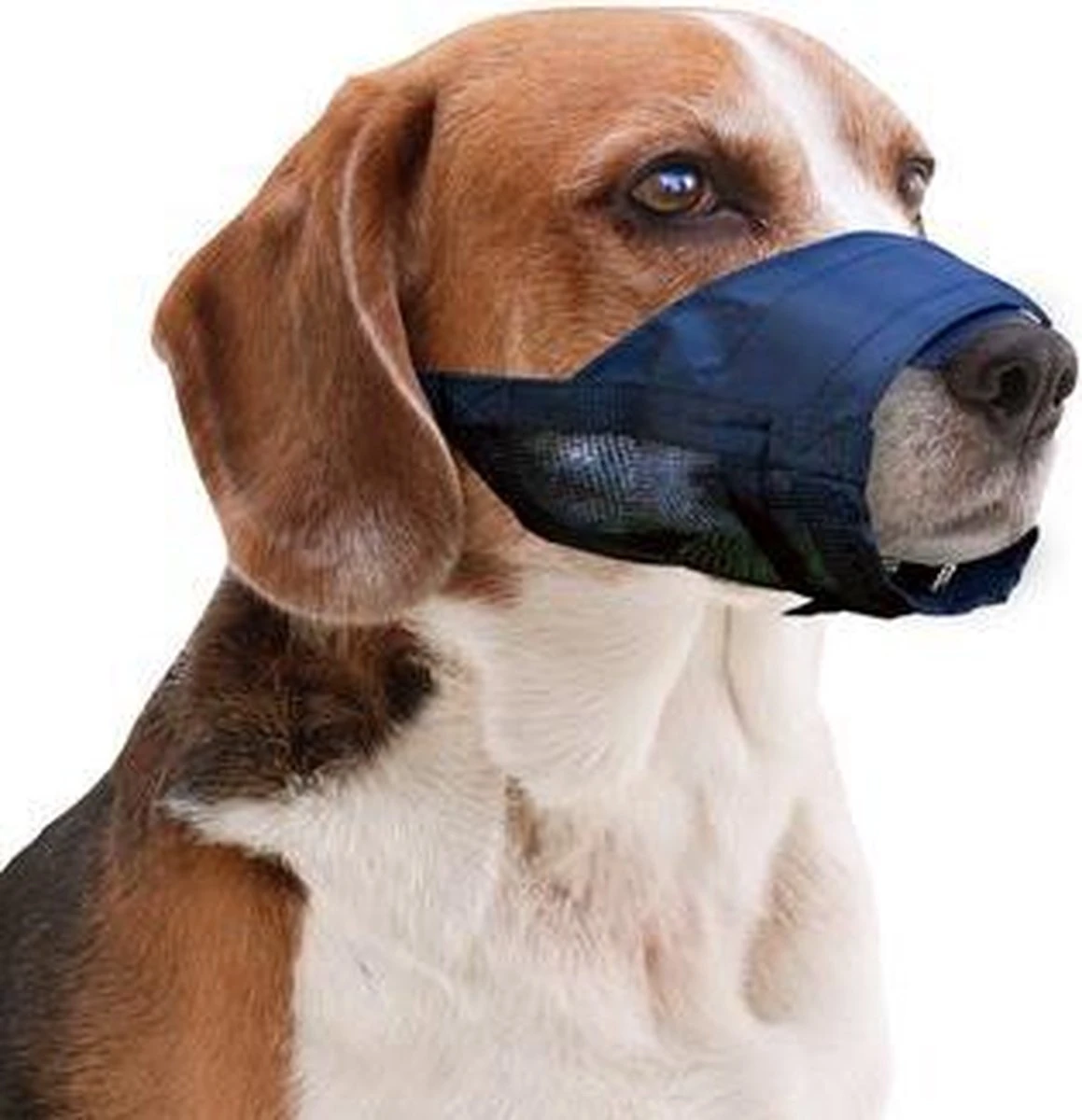 Pawise Muilkorf Adjustable - M - Size 5 Pawise Muilkorf Adjustable - M - Size - Afbeelding 3