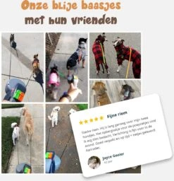 Dubbele Honden Riem – Leiband Hond – Hondenlijn – Looplijn Hond – 2 Honden – 3 Meter – Tot 12kg Per Hond – Reflecterende Lijnen – Met Zaklamp – 360° Draaien – Verstelbaar - Zwart 18 Dubbele Honden Riem – Leiband Hond – Hondenlijn – Looplijn Hond – 2 Honden – 3 Meter – Tot 12kg Per Hond – Reflecterende Lijnen – Met Zaklamp – 360° Draaien – Verstelbaar - Zwart -Honden Benodigdheden Verkoop 1160x1200 10