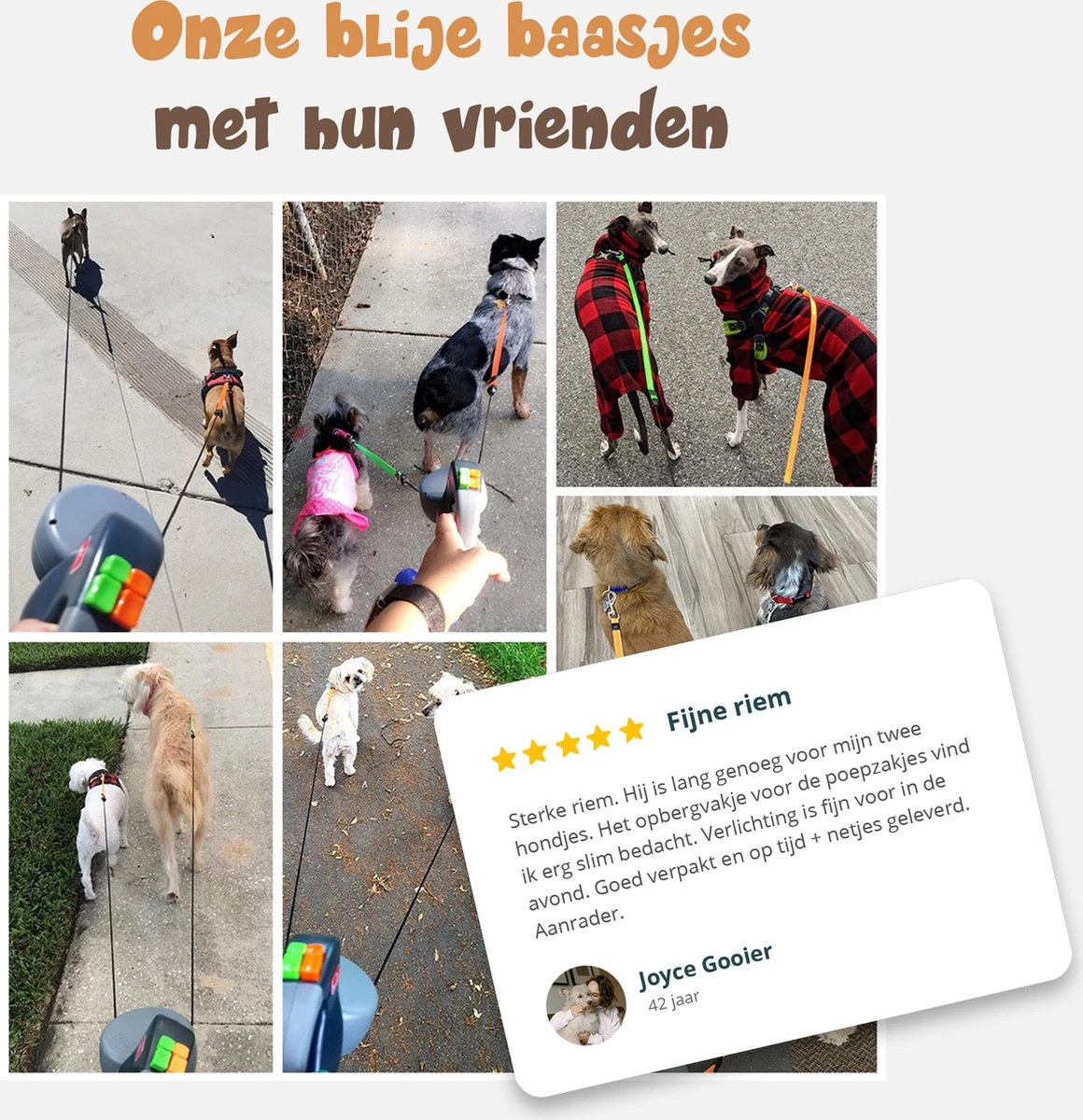 Dubbele Honden Riem – Leiband Hond – Hondenlijn – Looplijn Hond – 2 Honden – 3 Meter – Tot 12kg Per Hond – Reflecterende Lijnen – Met Zaklamp – 360° Draaien – Verstelbaar - Zwart 9 Dubbele Honden Riem – Leiband Hond – Hondenlijn – Looplijn Hond – 2 Honden – 3 Meter – Tot 12kg Per Hond – Reflecterende Lijnen – Met Zaklamp – 360° Draaien – Verstelbaar - Zwart - Afbeelding 7