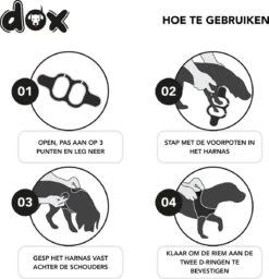 DDOXX Borstharnas Air Mesh, Step-In, Reflecterend | Vele Kleuren | Voor Kleine, Middelgrote En Middelgrote Honden | Hondenharnas Hond Kat Puppy | Kattenharnas Puppy Harnas | Zwart, M -Honden Benodigdheden Verkoop 1160x1200 12
