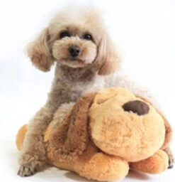 Merkloos Knuffel Met Hartslag Speciaal Voor Puppy's - Snuggle Heart Beat Puppy - Hartslagknuffel - Pluche 18 Merkloos Knuffel Met Hartslag Speciaal Voor Puppy's - Snuggle Heart Beat Puppy - Hartslagknuffel - Pluche -Honden Benodigdheden Verkoop 1160x1200 14