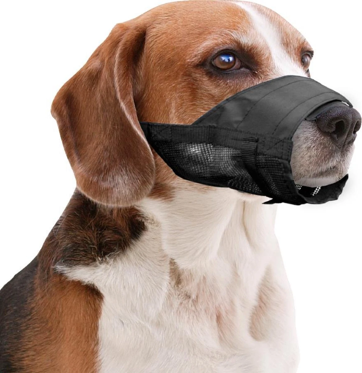 Pawise Muilkorf Adjustable - M - Size 3 Pawise Muilkorf Adjustable - M - Size