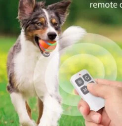 Merkloos Slimme Interactieve Zelf Rollende Bal Voor Honden - 3 Speelmodi - Honden Speelgoed - Hondenspeeltjes - USB Oplaadbaar - Met Afstandsbediening - Intelligente Automatische Roterende Waterproof Led Bal Met Afstandsbediening - Oranje -Honden Benodigdheden Verkoop 1164x1200 6