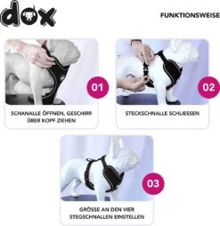 DDOXX Hondenharnas, Reflecterend, Verstelbaar, Breakaway | Borstharnas Voor Klein, Middelgroot | Hondenharnas Hond Kat Puppy Auto | Kattenharnas Puppy Harnas | Roze Roze, S 18 DDOXX Hondenharnas, Reflecterend, Verstelbaar, Breakaway | Borstharnas Voor Klein, Middelgroot | Hondenharnas Hond Kat Puppy Auto | Kattenharnas Puppy Harnas | Roze Roze, S -Honden Benodigdheden Verkoop 1165x1200 9