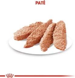 Royal Canin Ccn Sterilised Wet - Hondenvoer - 12x85 G -Honden Benodigdheden Verkoop 1166x1200