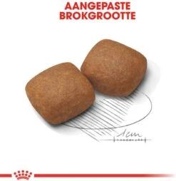 Royal Canin Giant Junior 15 KG -Honden Benodigdheden Verkoop 1169x1200