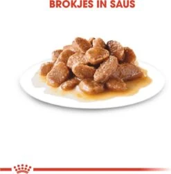 Royal Canin Shn Mini Adult Pouch - Hondenvoer - 12 X 85 G -Honden Benodigdheden Verkoop 1177x1200