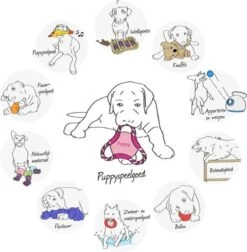 Trixie Dogtoy Dog Activity Strategy Game Gamble Box - Piepend Speelgoed - 15cm X 15cm X 9cm - Zwart/rood/oranje -Honden Benodigdheden Verkoop 1178x1200 8