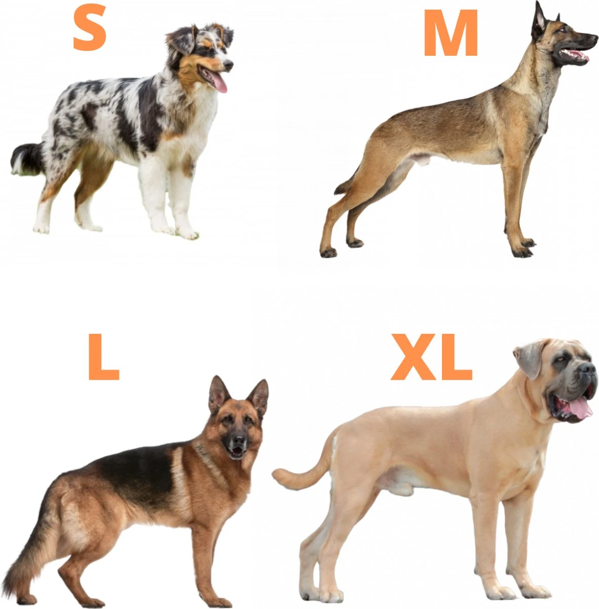 Always Prepared © Pro K9 Hondentuig - Anti Trek - Y Tuig - Middel En Grote Hond - Veiligheidstuig 7 Always Prepared © Pro K9 Hondentuig - Anti Trek - Y Tuig - Middel En Grote Hond - Veiligheidstuig - Afbeelding 5